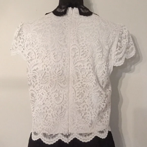 Betsy Johnson Ivory and Black Lace Dress with Collar Size 14 - Picture 7 of 12